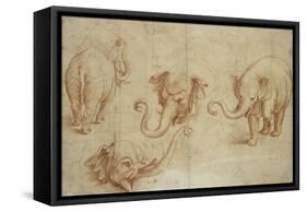 Four Studies of an Elephant-Giulio Romano-Framed Stretched Canvas