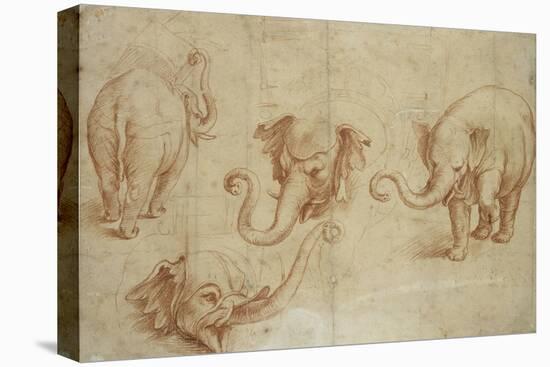 Four Studies of an Elephant-Giulio Romano-Stretched Canvas