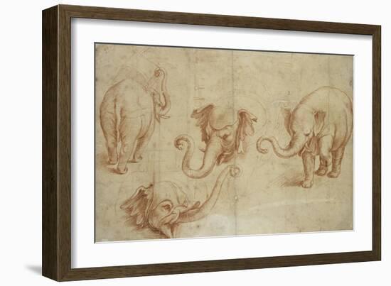 Four Studies of an Elephant-Giulio Romano-Framed Giclee Print
