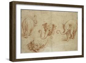 Four Studies of an Elephant-Giulio Romano-Framed Giclee Print