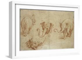 Four Studies of an Elephant-Giulio Romano-Framed Giclee Print