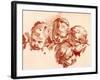 Four Studies of Children Heads-Francois Boucher-Framed Giclee Print