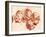 Four Studies of Children Heads-Francois Boucher-Framed Giclee Print