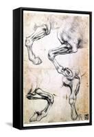 Four Studies of Horses' Legs, C1500-Leonardo da Vinci-Framed Stretched Canvas
