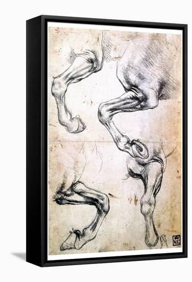 Four Studies of Horses' Legs, C1500-Leonardo da Vinci-Framed Stretched Canvas