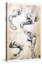 Four Studies of Horses' Legs, C1500-Leonardo da Vinci-Stretched Canvas