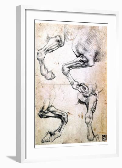 Four Studies of Horses' Legs, C1500-Leonardo da Vinci-Framed Giclee Print