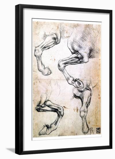 Four Studies of Horses' Legs, C1500-Leonardo da Vinci-Framed Giclee Print