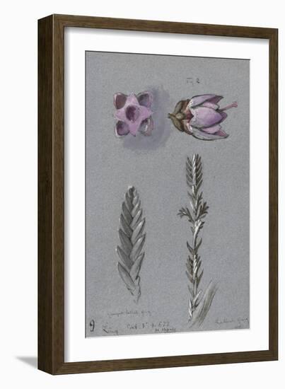 Four Studies of Ling-John Ruskin-Framed Giclee Print