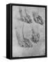 'Four Studies of the Paws of a Dog or Wolf', c1480 (1945)-Leonardo Da Vinci-Framed Stretched Canvas