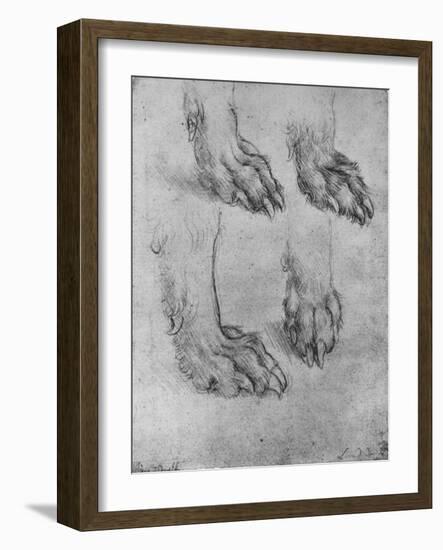 'Four Studies of the Paws of a Dog or Wolf', c1480 (1945)-Leonardo Da Vinci-Framed Giclee Print