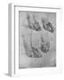 'Four Studies of the Paws of a Dog or Wolf', c1480 (1945)-Leonardo Da Vinci-Framed Giclee Print