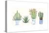 Four Succulents I-Melissa Wang-Stretched Canvas