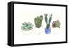 Four Succulents II-Melissa Wang-Framed Stretched Canvas