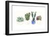 Four Succulents II-Melissa Wang-Framed Art Print