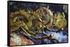 Four Sunflowers Gone To Seed-Vincent van Gogh-Framed Stretched Canvas