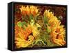 Four Sunflowers-Mandy Budan-Framed Stretched Canvas