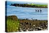 Four Swimmers on Long Island Beach Photo Poster Print-null-Stretched Canvas