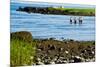 Four Swimmers on Long Island Beach Photo Poster Print-null-Mounted Poster