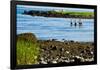 Four Swimmers on Long Island Beach Photo Poster Print-null-Framed Poster