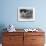 Four Tibetan Terrier Puppies Sitting in a Row. Owner: Greig-null-Framed Photographic Print displayed on a wall