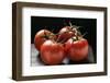 Four Tomatoes on the Vine with Drops of Water-Foodcollection-Framed Photographic Print