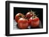 Four Tomatoes on the Vine with Drops of Water-Foodcollection-Framed Photographic Print