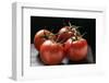 Four Tomatoes on the Vine with Drops of Water-Foodcollection-Framed Photographic Print