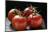 Four Tomatoes on the Vine with Drops of Water-Foodcollection-Mounted Photographic Print