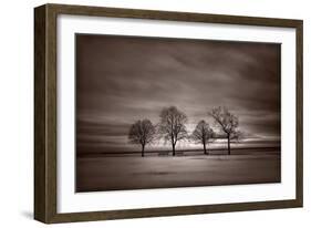 Four Trees-Steve Gadomski-Framed Photographic Print