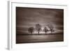 Four Trees-Steve Gadomski-Framed Photographic Print