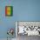 Four Twenty Rainbow Design-JJ Brando-Art Print displayed on a wall