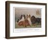 Four Types of King Charles Clevedon Champions-Frances C. Fairman-Framed Photographic Print