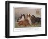 Four Types of King Charles Clevedon Champions-Frances C. Fairman-Framed Photographic Print