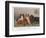 Four Types of King Charles Clevedon Champions-Frances C. Fairman-Framed Photographic Print