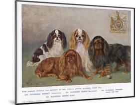 Four Types of King Charles Clevedon Champions-Frances C. Fairman-Mounted Photographic Print