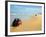 Four Wheel Drives, Seventy Five Mile Beach, Fraser Island, Queensland, Australia-David Wall-Framed Photographic Print