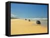 Four Wheel Drives, Seventy Five Mile Beach, Fraser Island, Queensland, Australia-David Wall-Framed Stretched Canvas