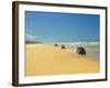 Four Wheel Drives, Seventy Five Mile Beach, Fraser Island, Queensland, Australia-David Wall-Framed Photographic Print