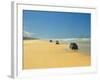 Four Wheel Drives, Seventy Five Mile Beach, Fraser Island, Queensland, Australia-David Wall-Framed Photographic Print