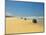 Four Wheel Drives, Seventy Five Mile Beach, Fraser Island, Queensland, Australia-David Wall-Mounted Photographic Print