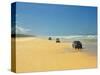 Four Wheel Drives, Seventy Five Mile Beach, Fraser Island, Queensland, Australia-David Wall-Stretched Canvas