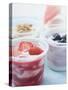Four Yoghurts with Berries, Cereal and Watermelon-null-Stretched Canvas