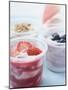 Four Yoghurts with Berries, Cereal and Watermelon-null-Mounted Photographic Print