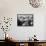 Four Young British Student Nurses Making Notes Together from Medical Textbooks-null-Framed Stretched Canvas displayed on a wall