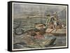 Four Young Women of Trieste Attacked by Sharks While Out Boating-null-Framed Stretched Canvas