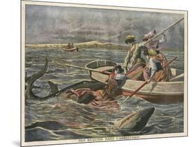 Four Young Women of Trieste Attacked by Sharks While Out Boating-null-Mounted Art Print