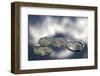 Four-Bror Johansson-Framed Photographic Print