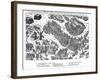 Fourth Charge at the Battle of Dreux, French Religious Wars, 19 December 1562-Jacques Tortorel-Framed Giclee Print