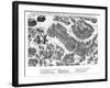 Fourth Charge at the Battle of Dreux, French Religious Wars, 19 December 1562-Jacques Tortorel-Framed Giclee Print